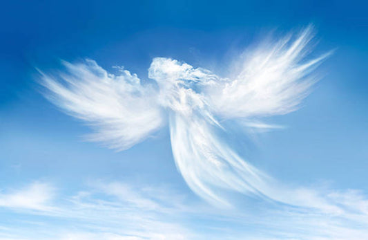 An Evening with the Angels
